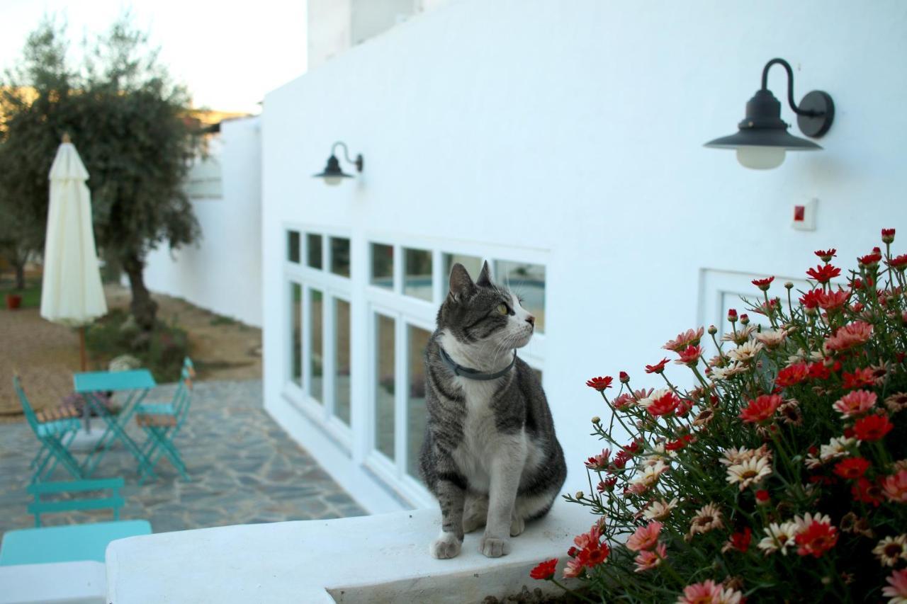 A Casa Da Cerca Hotel Almodôvar Buitenkant foto